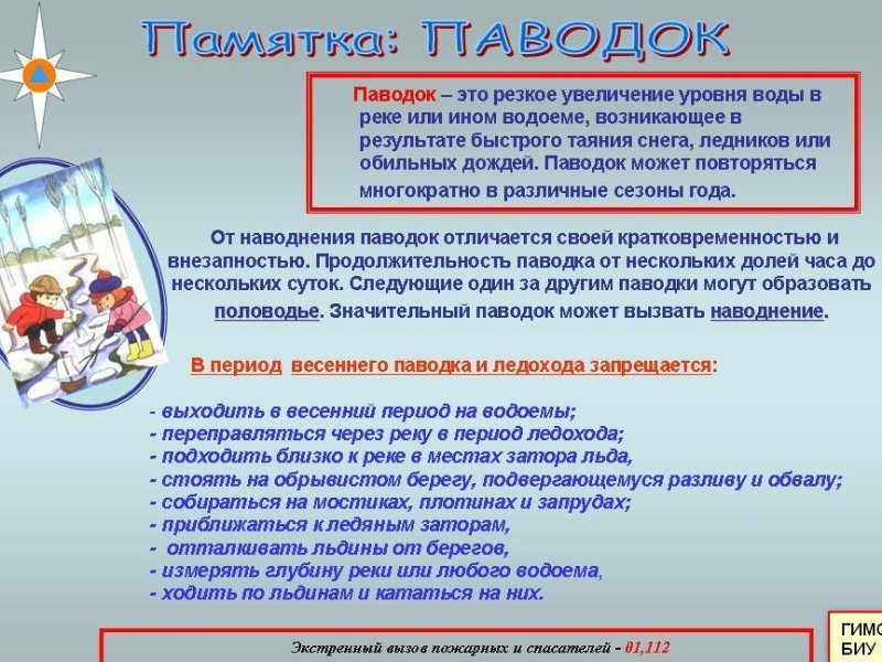 1716243476610.jpg
